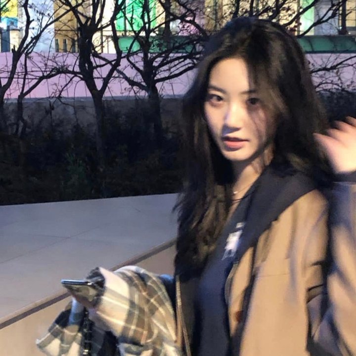 羊妈妈与狮子