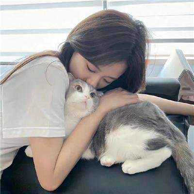 Π情歌